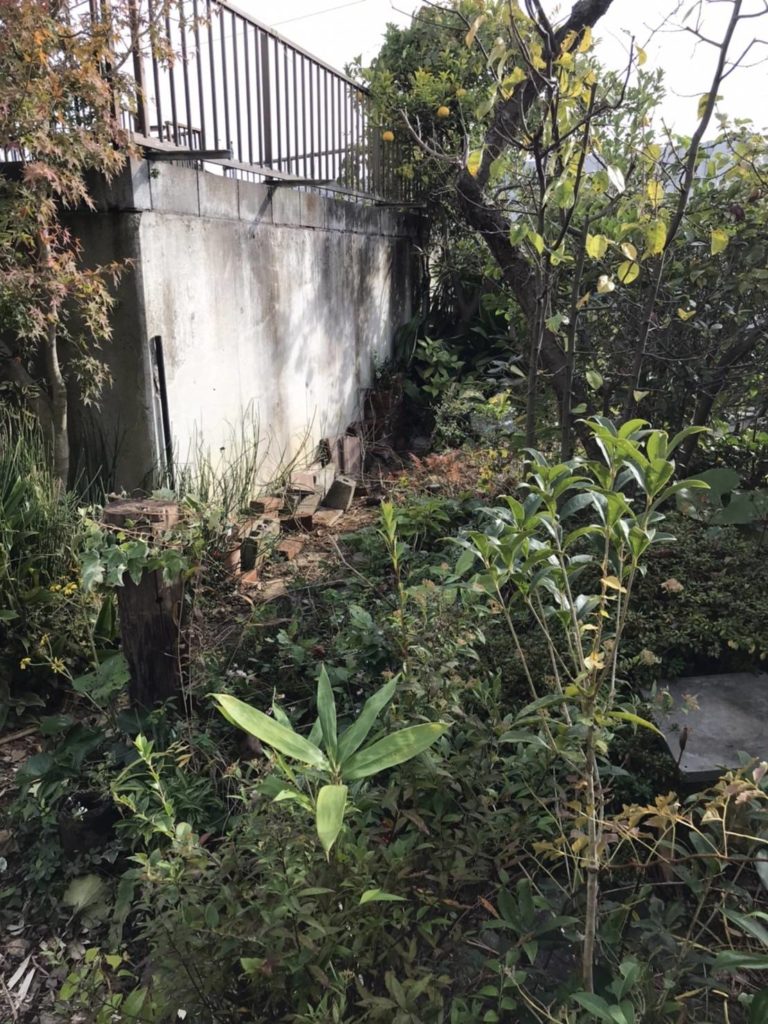 【分割払い事例】神奈川県横浜市旭区の空き家の不用品回収と荒れた庭の清掃作業