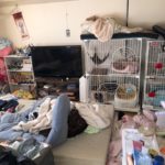 埼玉県さいたま市浦和区のペット飼育をしているお部屋の不用品回収・片付け代行