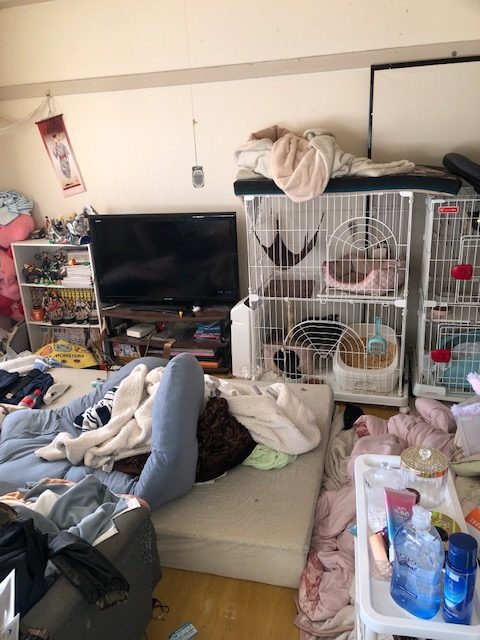 埼玉県さいたま市浦和区のペット飼育をしているお部屋の不用品回収・片付け代行