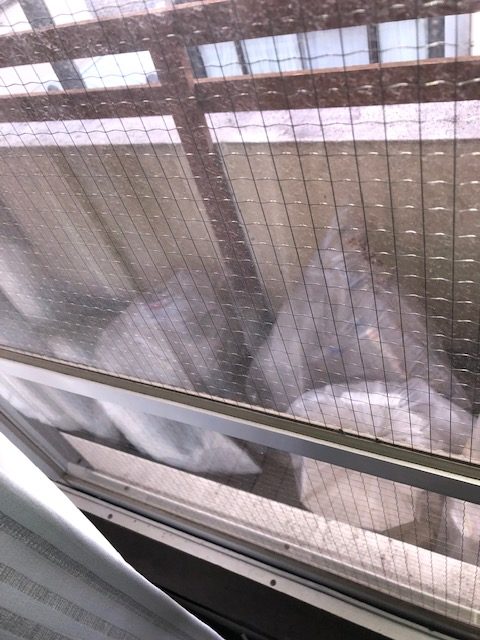 【分割払い事例】千葉県柏市柏駅近辺でのベランダに溜まったゴミ・不用品回収