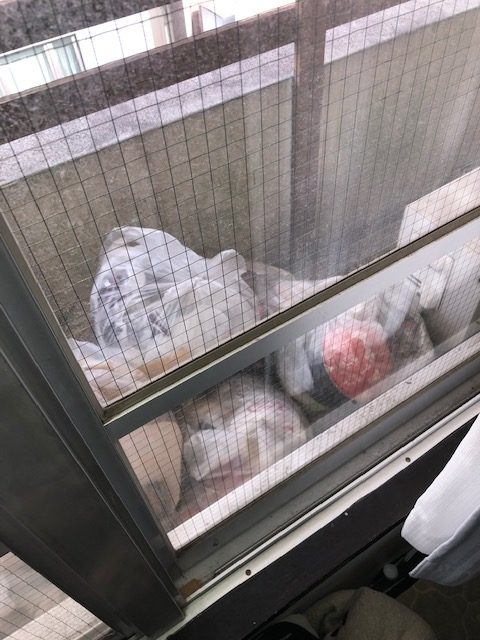 【分割払い事例】東京都中野区のベランダにもゴミを放置された汚部屋の片付け