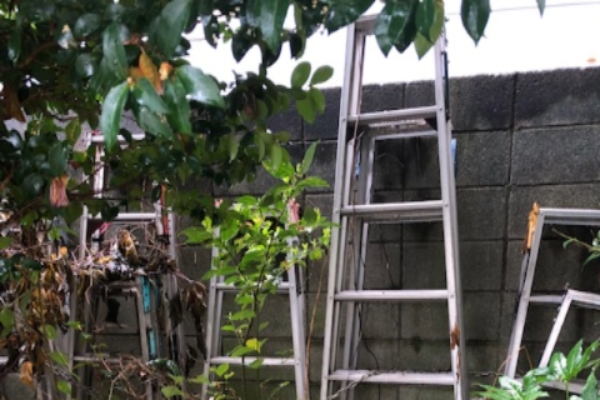 神奈川県川崎市高津区の売却予定の戸建てのお庭の片付けと不用品回収
